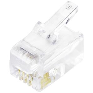 TRU COMPONENTS modulaire stekker 4P4C RJ10 TC-10336056 Stekker, recht Aantal polen 4P4C 1 stuk(s)