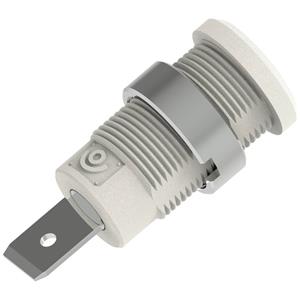 electropjp Electro PJP 3266-C-CD1-BC Sicherheits-Laborbuchse Stift-Ø: 4mm Weiß 1St.
