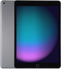 Apple iPad 10,2 64GB [wifi, model 2021] spacegrijs - refurbished