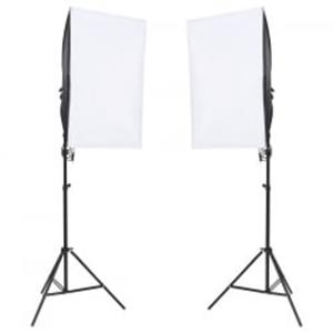 vidaXL Fotostudioset met verlichtingsset en achtergrond