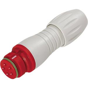 Binder 99 9106 450 03 Ronde subminiatuurconnector Koppeling, recht Totaal aantal polen: 3 1 stuk(s)