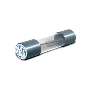 Püschel Feinsicherungen 130.000 8A G-zekering-insert (Ø x l) 5 mm x 30 mm 8 A 500 V Normaal -mT- Inhoud 1 stuk(s) Carton