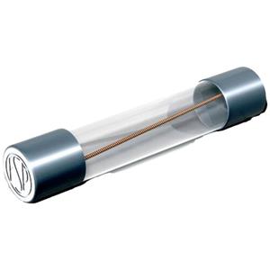 püschelfeinsicherungen Püschel Feinsicherungen FSUT0,8A FSUT0,8A Buiszekering (Ø x l) 6.3 mm x 32 mm 0.8 A 500 V Traag -T- Inhoud 10 stuk(s)