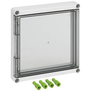 Spelsberg GDK 2-KT Sichttür (L x B x H) 50 x 320 x 320mm 1St.