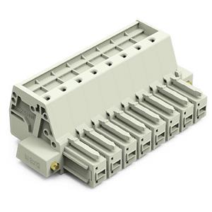 WAGO Buchsengehäuse-Kabel Rastermaß: 7.62mm 831-3108/107-000 12St.