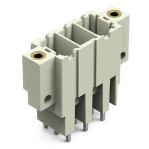 WAGO Stiftleiste (Standard) Polzahl Gesamt 3 Rastermaß: 7.62mm 831-3603/108-000 24St.