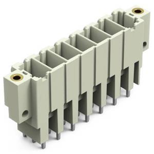 WAGO Stiftleiste (Standard) Polzahl Gesamt 7 Rastermaß: 7.62mm 831-3607/108-000 12St.