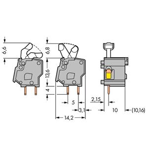 WAGO 257-862 Federkraftklemmblock 2.50mm² Polzahl (num) 1 Grau 300St.