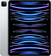 Apple iPad Pro 12,9 128GB [wifi, model 2022] zilver - refurbished