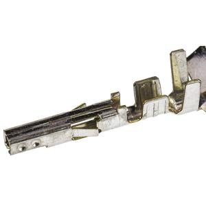 Molex Mini-Fit Crimpkontakt 39000078  Inhoud: 1 stuk(s)