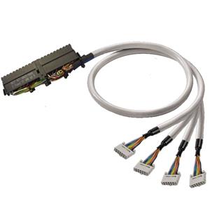 1512640030 PAC-S300-4X10-V0-3M