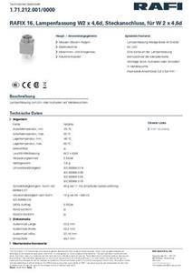 RAFI 1.71.212.001/0000 Fitting 1 stuk(s)