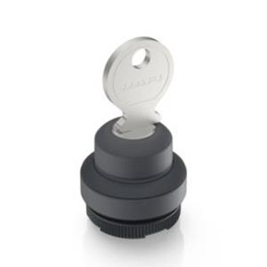 RAFI 1.30.275.101/0100 X 22 FS+ Sleutelschakelaar 2 x 40 ° 1 stuk(s)