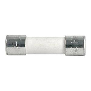 Schurter 0001.1016 0001.1016 Buiszekering 16.00 A 250 V/AC Snel -F- Inhoud 10 stuk(s)
