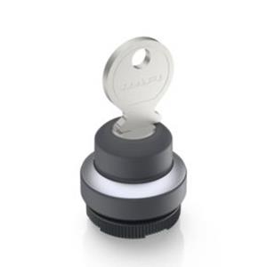 RAFI 1.30.275.322/0000 X 22 FS+ Sleutelschakelaar 1 x 90 ° 1 stuk(s)