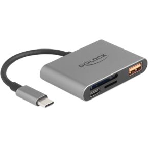 DeLock 91016 geheugenkaartlezer USB 2.0 Type-C Grijs