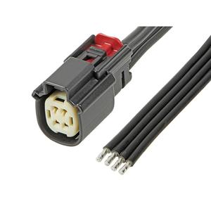 Molex 216285-1063 Inhoud: 1 stuk(s) Bag