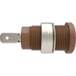 Schützinger DI SEB 7077 Ni / BR Veiligheids-inbouwbus Recht Bruin 1 stuk(s)