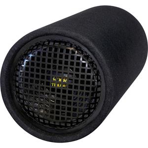 Sintron 201312 Passieve PA-subwoofer 200 W