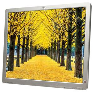 HP Compaq LA1951g - 19 inch - 1280x1024 - DVI - VGA - Zwart - Zonder voet