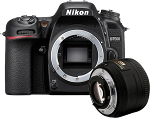Nikon D7500 +  AF-S 35mm f/1.8G DX