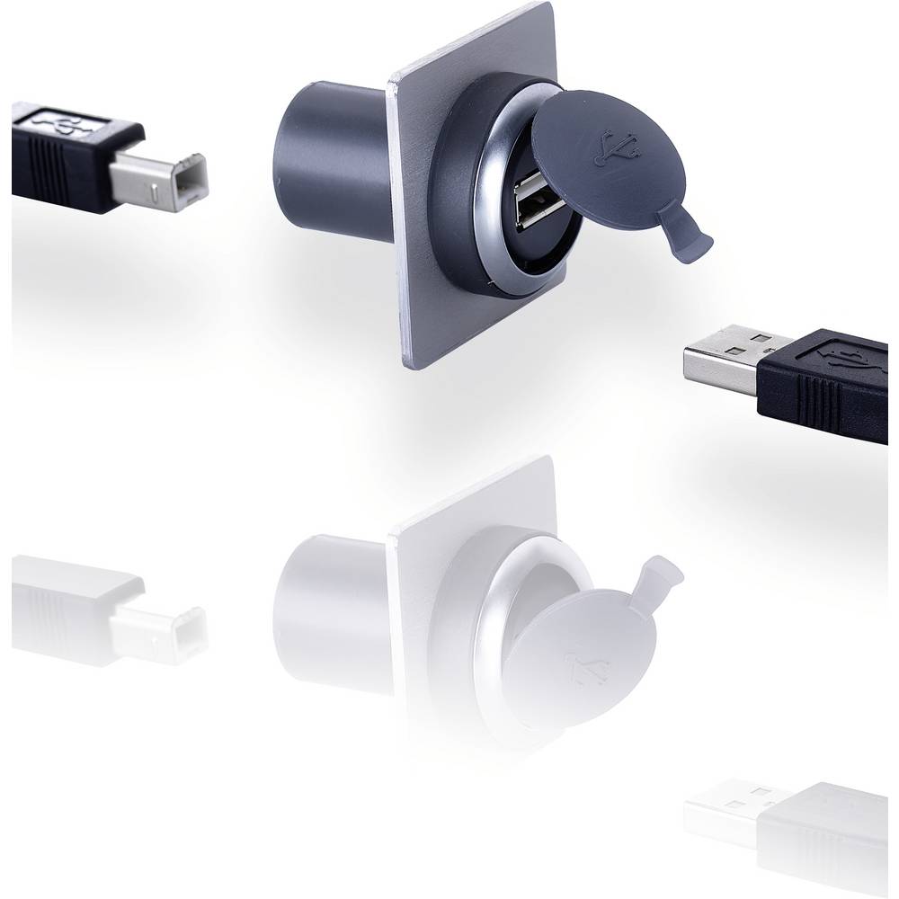 RAFI X 22 FS+ 1.30.279.001/0707 USB-doorvoer USB 2.0 Type-B Adapter 1 stuk(s)