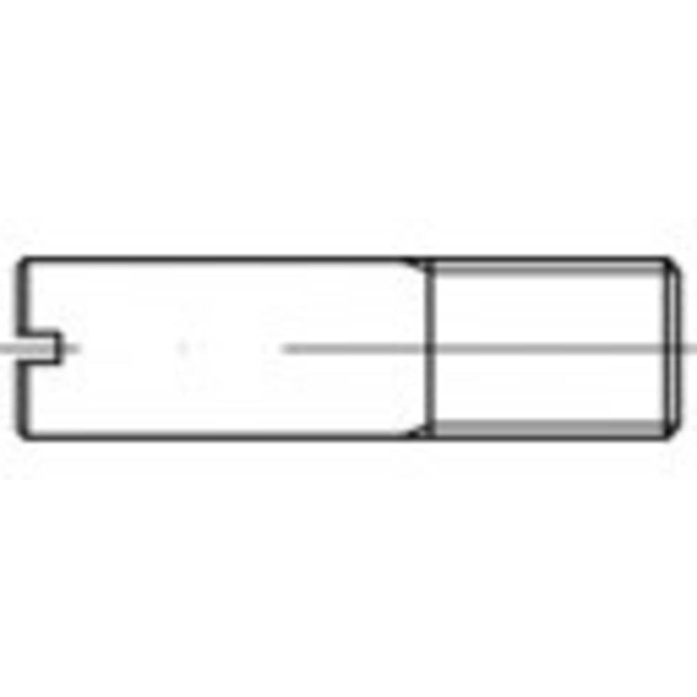 TOOLCRAFT TO-9982206 Bouten (l) 55 mm Staal Galvanisch verzinkt 10 stuk(s)