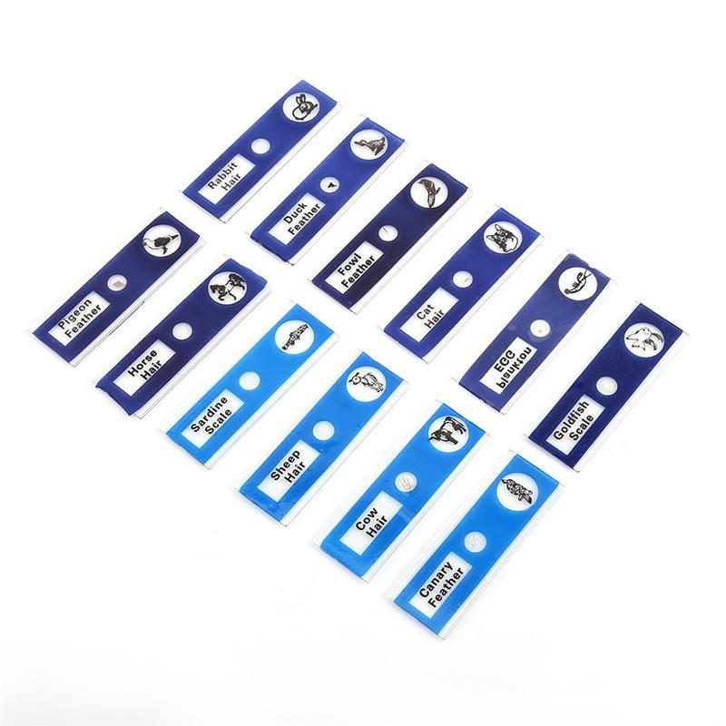 Eeasybuyer 12 stuks plastic voorbereide microscoopglaasjes dieren insecten bloemen planten