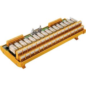 Weidm&uuml;ller Relaisprintplaat Met display, LED 1 stuk(s) RSM-16 24V+ 2CO S 24 V/DC