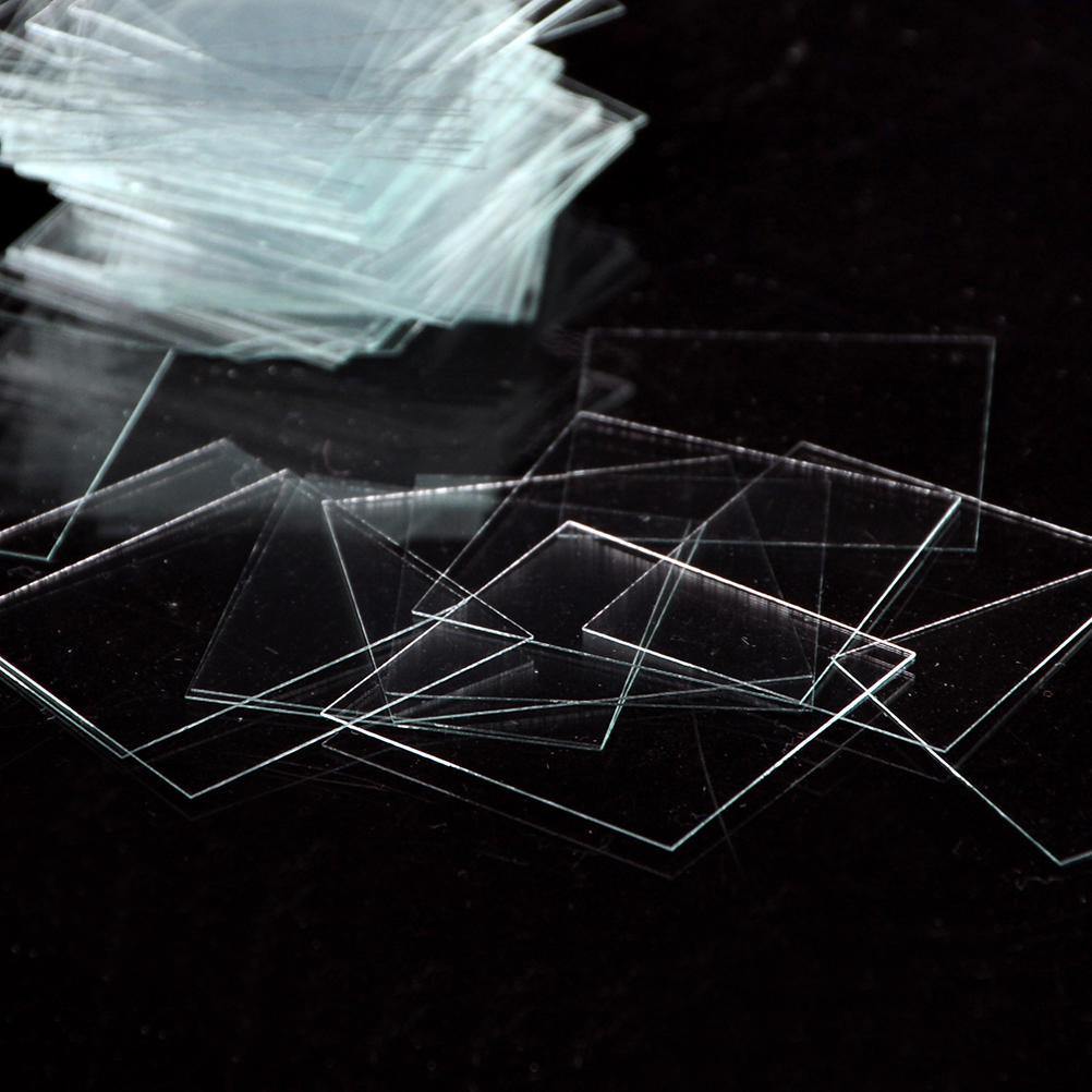 Treasure Hom 100 stuks glazen micro-afdekglaasjes 22X22mm - microscoopglaasjeshoezen