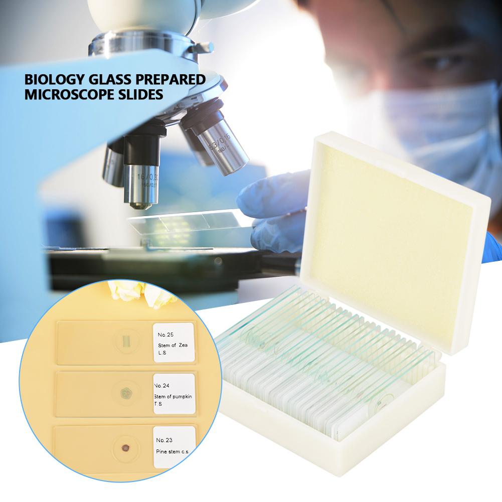 Fishine 25 stuks Biologie Glas Geprepareerde Microscoopplaatjes Lab Specimens Met Doos