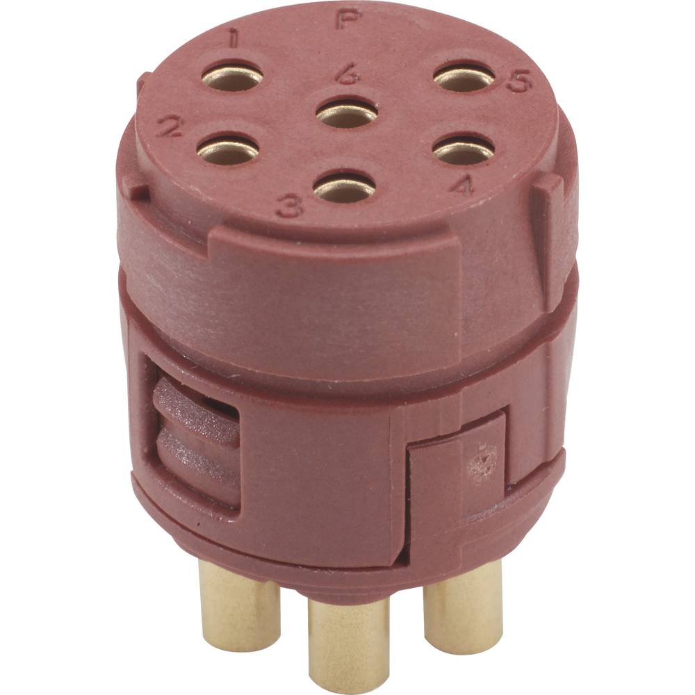 LAPP EPIC Signal M23 inzetstukken, 6-polig 73002765  Zubehör  Inhoud: 20 stuk(s)