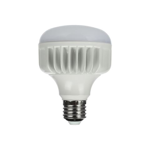 StudioKing LED Daglichtlamp 25W E27 FLED-25