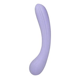 Slightly Curved Dildo (1st)