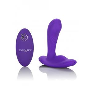 California Exotic Novelties CalExotics - USB-Oplaadbare Remote Pinpoint Pleaser