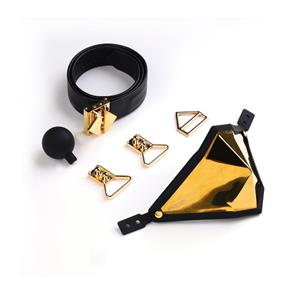 LOCKINK  Gouden Punker Muilkorf Gag Set