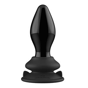 Erotic Treasure Glazen Vibrator met afstandbediening