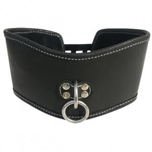 Sportsheets  Edge Soft Leather Posture Collar