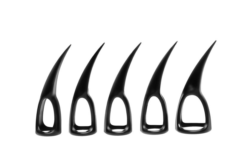  Set van 10 Klauwen - Zwart