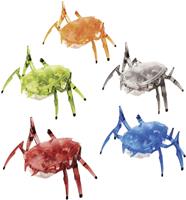 Invento 501122 - Hexbug Scarab: Random Colour, 1 Stück