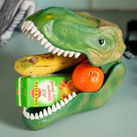 Dinosaurier Lunchbox