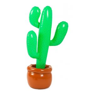 Opblaasbare cactus in pot