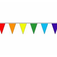 Fun & Feest Regenboog slinger met puntvlaggetjes 5 meter