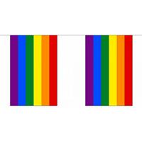 Fun & Feest Gay pride regenboog vlaggenlijn 9 m