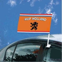 Autovlag met leeuw