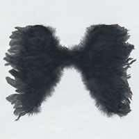 Zwarte engelen vleugels cm