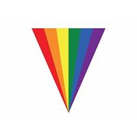 Gay pride slinger vlaggenlijn 5 m Multi