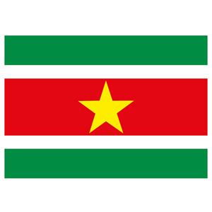 Shoppartners Vlag Suriname stickers