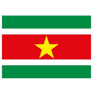 Shoppartners Vlag Suriname stickers