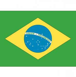 Vlag Brazilie stickers
